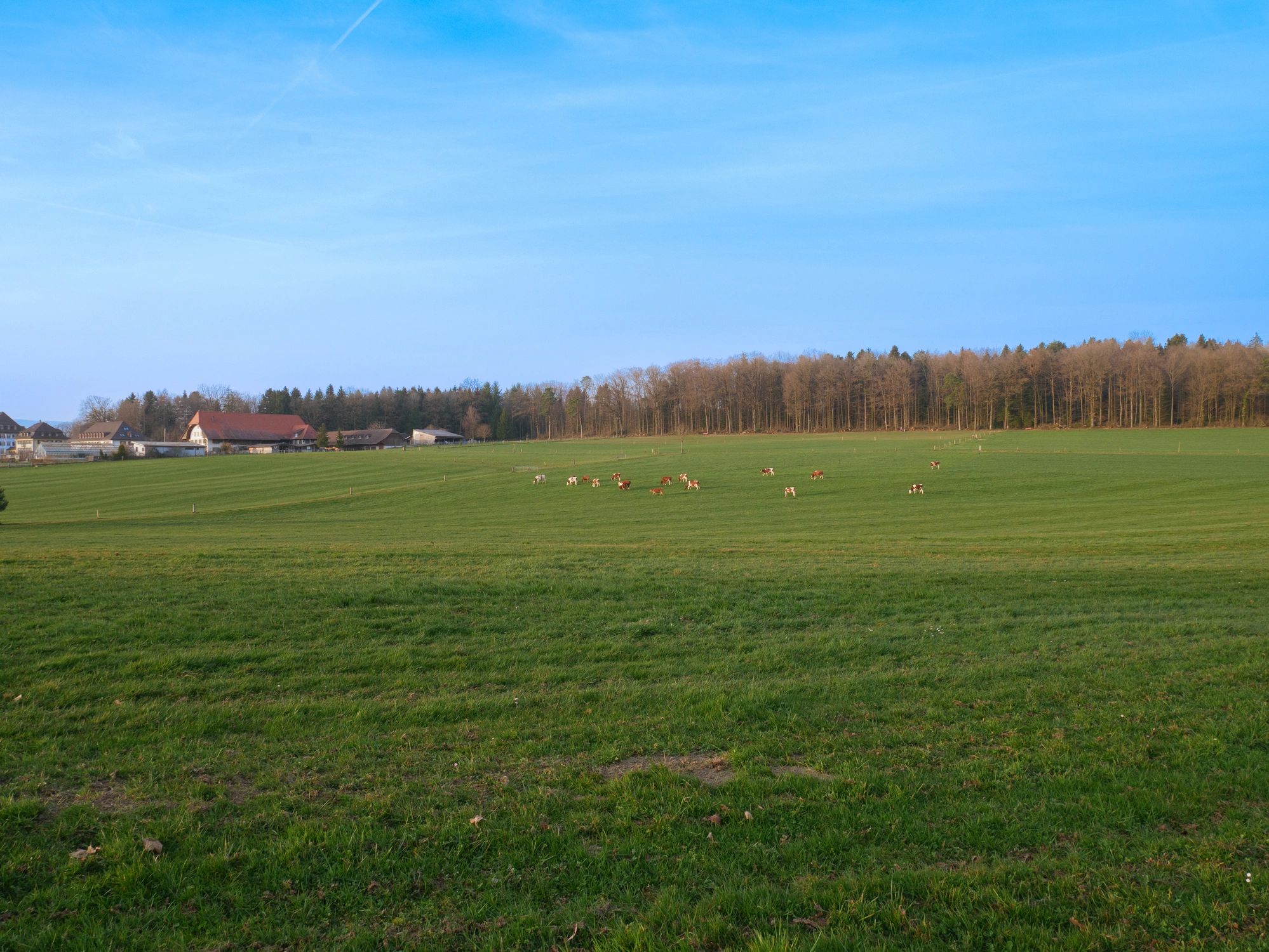 Pasture and farm setting